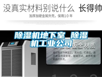 常见问题除湿机地下室 除湿机工业公司