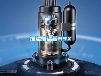 知识百科恒温恒湿箱HSX