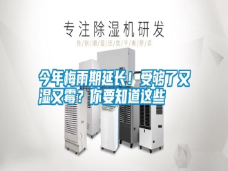 行业新闻今年梅雨期延长！受够了又湿又霉？你要知道这些