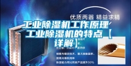 工业除湿机工作原理 工业除湿机的特点【详解】
