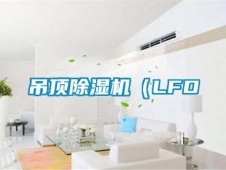 行业新闻吊顶除湿机（LFD