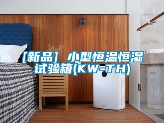 常见问题[新品] 小型恒温恒湿试验箱(KW-TH)