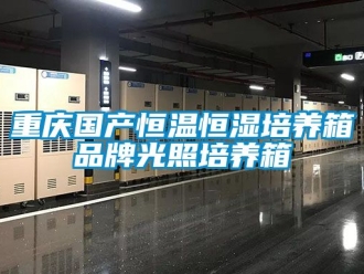 知识百科重庆国产恒温恒湿培养箱品牌光照培养箱