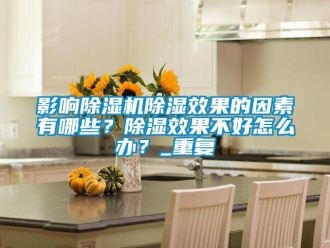 行业新闻影响除湿机除湿效果的因素有哪些？除湿效果不好怎么办？_重复