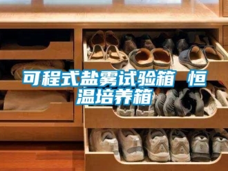 知识百科可程式盐雾试验箱 恒温培养箱