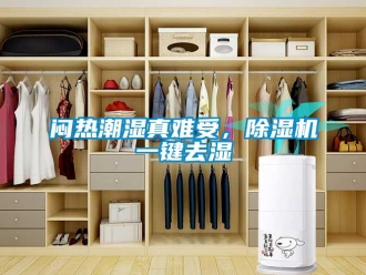 行业新闻闷热潮湿真难受，除湿机一键去湿
