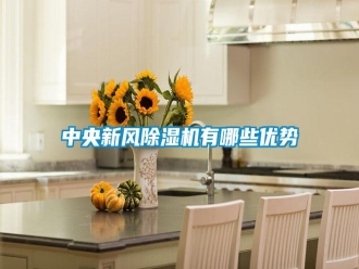 知识百科中央新风除湿机有哪些优势