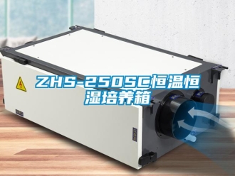 常见问题ZHS-250SC恒温恒湿培养箱