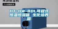 HT-HW-80L可程式恒温恒湿箱 生化培养箱