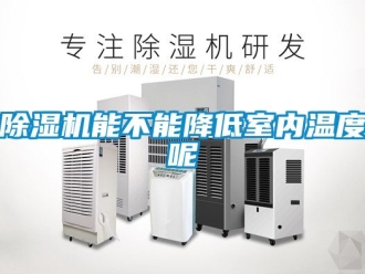 行业新闻除湿机能不能降低室内温度呢
