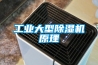 工业大型除湿机原理