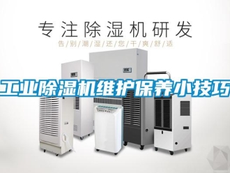 企业新闻工业除湿机维护保养小技巧