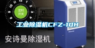 工业除湿机CFZ-10H