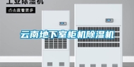 云南地下室柜机除湿机