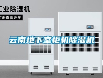 行业新闻云南地下室柜机除湿机
