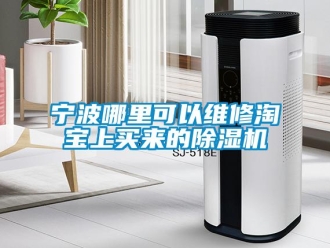 行业新闻宁波哪里可以维修淘宝上买来的除湿机