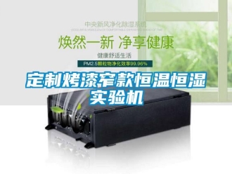 知识百科定制烤漆窄款恒温恒湿实验机