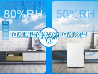 企业新闻仓库潮湿怎么办？仓库除湿机