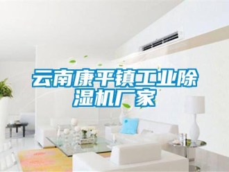 企业新闻云南康平镇工业除湿机厂家