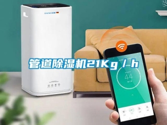 行业新闻管道除湿机21Kg／h