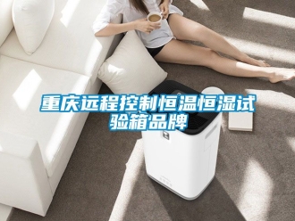 知识百科重庆远程控制恒温恒湿试验箱品牌