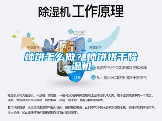 行业新闻柿饼怎么做？柿饼烘干除湿机