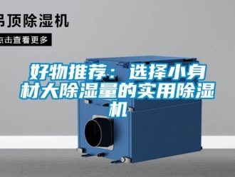 行业新闻好物推荐：选择小身材大除湿量的实用除湿机