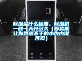 行业新闻除湿是什么标志，除湿机一般一天开多久（哪款能让你跟晒不干的小内内说再见）