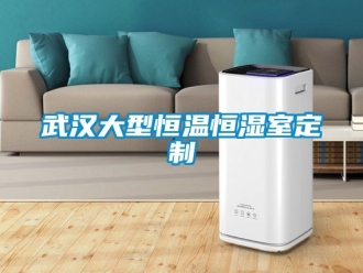 知识百科武汉大型恒温恒湿室定制