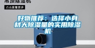 好物推荐：选择小身材大除湿量的实用除湿机