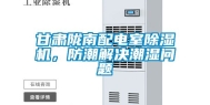 甘肃陇南配电室除湿机，防潮解决潮湿问题