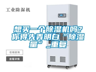 行业新闻想买一个除湿机吗？你得先弄明白“除湿量”_重复