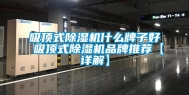 吸顶式除湿机什么牌子好 吸顶式除湿机品牌推荐【详解】