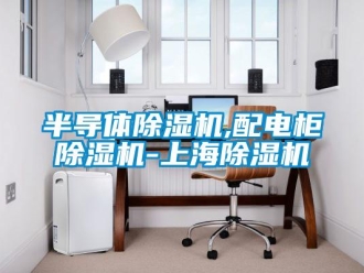 企业新闻半导体除湿机,配电柜除湿机-上海除湿机