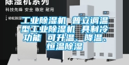 工业除湿机 普立调温型工业除湿机 具制冷功能 可升温、降温、恒温除湿