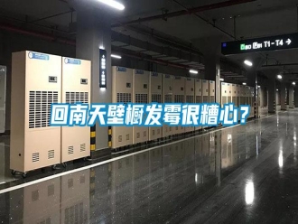 行业新闻回南天壁橱发霉很糟心？