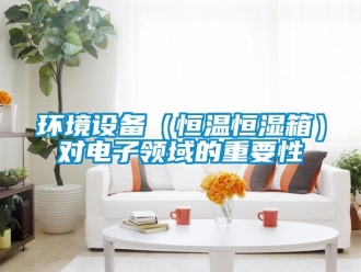 知识百科环境设备（恒温恒湿箱）对电子领域的重要性