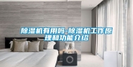 除湿机有用吗-除湿机工作原理和功能介绍