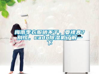 行业新闻梅雨季衣服晒不干，要裸奔？别慌，cado除湿机了解一下