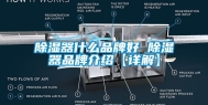 除湿器什么品牌好 除湿器品牌介绍【详解】