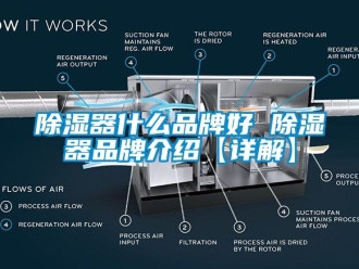 行业新闻除湿器什么品牌好 除湿器品牌介绍【详解】