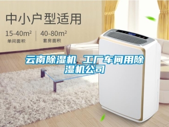 企业新闻云南除湿机 工厂车间用除湿机公司