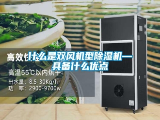 知识百科什么是双风机型除湿机—具备什么优点
