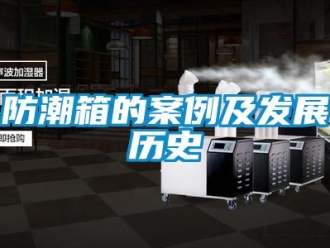 常见问题防潮箱的案例及发展历史