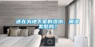 还在为地下室的渗水、潮湿发愁吗？