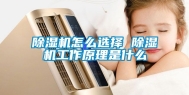 除湿机怎么选择 除湿机工作原理是什么