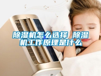 行业新闻除湿机怎么选择 除湿机工作原理是什么
