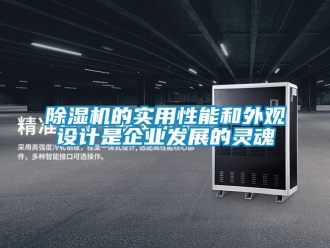 常见问题除湿机的实用性能和外观设计是企业发展的灵魂