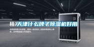 天津什么牌子除湿机好用