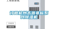 订做杭州天源非标系列除湿机
